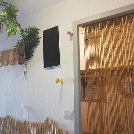 Les Cocotiers Vue 250 M De 아파트 *