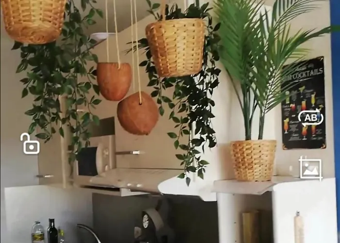 Les Cocotiers Vue 250 M De * 아그