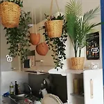 Les Cocotiers Vue 250 M De * アグド