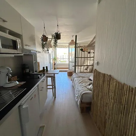 Les Cocotiers Vue 250 M De Apartment Agde
