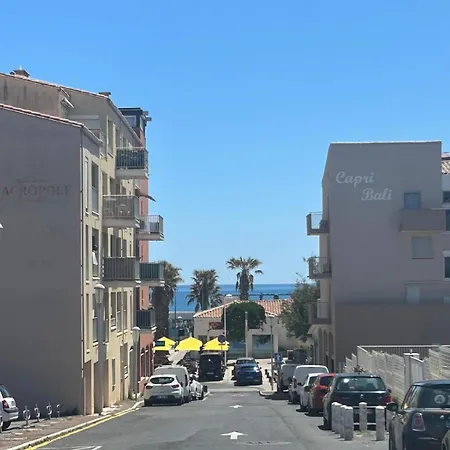 Les Cocotiers Vue 250 M De * Agde