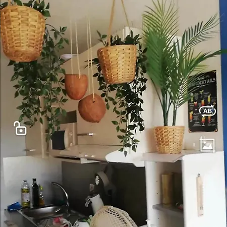 Les Cocotiers Vue 250 M De * Agde