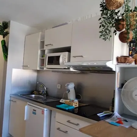 Les Cocotiers Vue 250 M De Apartment Agde