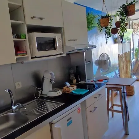 Appartement Les Cocotiers Vue 250 M De *