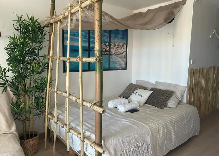 Les Cocotiers Vue 250 M De Appartement