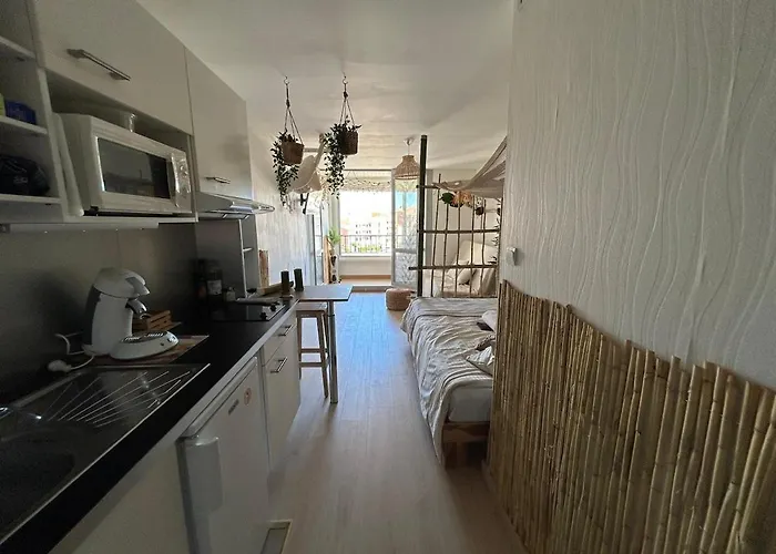 Les Cocotiers Vue 250 M De Appartement Agde