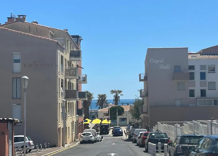 Les Cocotiers Vue 250 M De * アグド