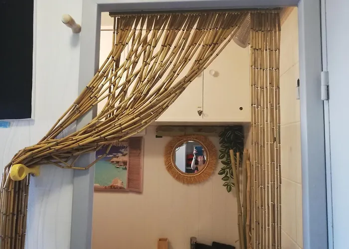 Les Cocotiers Vue 250 M De * アグド