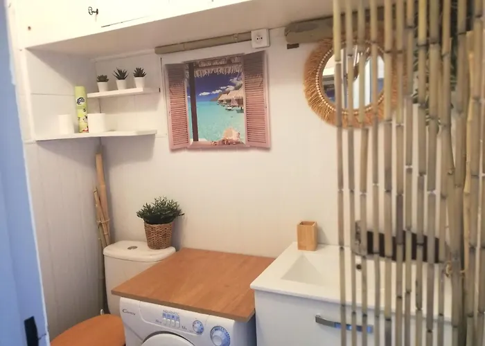 Les Cocotiers Vue 250 M De アグド