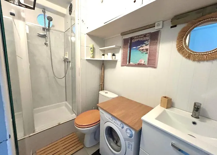 Les Cocotiers Vue 250 M De *