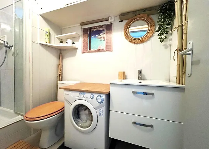 Appartement Les Cocotiers Vue 250 M De *