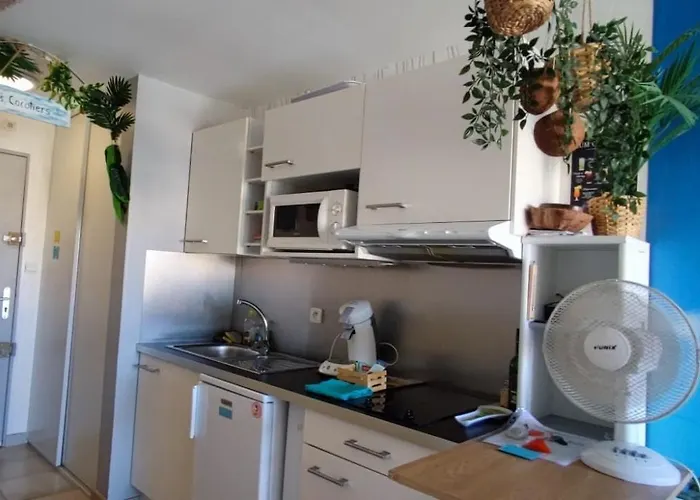 Les Cocotiers Vue 250 M De Lägenhet Agde