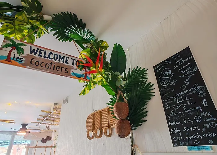 Les Cocotiers Vue 250 M De Appartement *