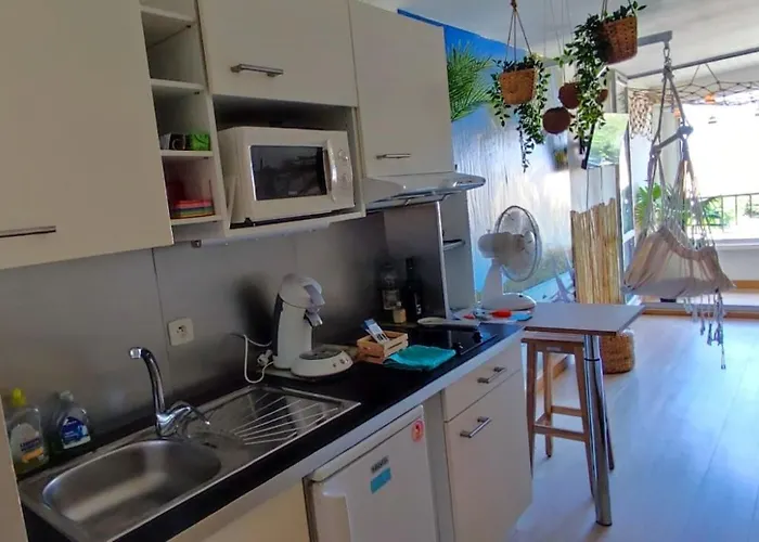 Appartement Les Cocotiers Vue 250 M De *