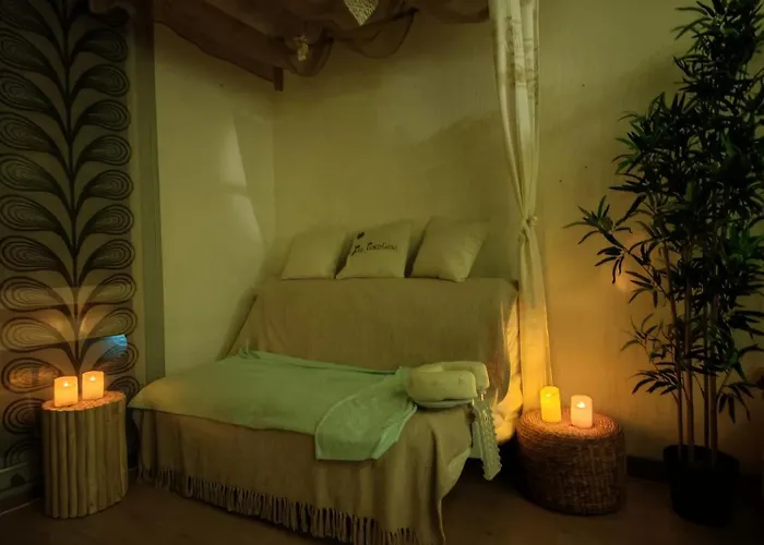 Appartement Les Cocotiers Vue 250 M De