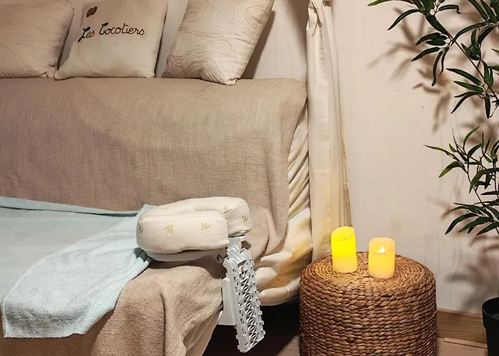 Les Cocotiers Vue 250 M De Agde